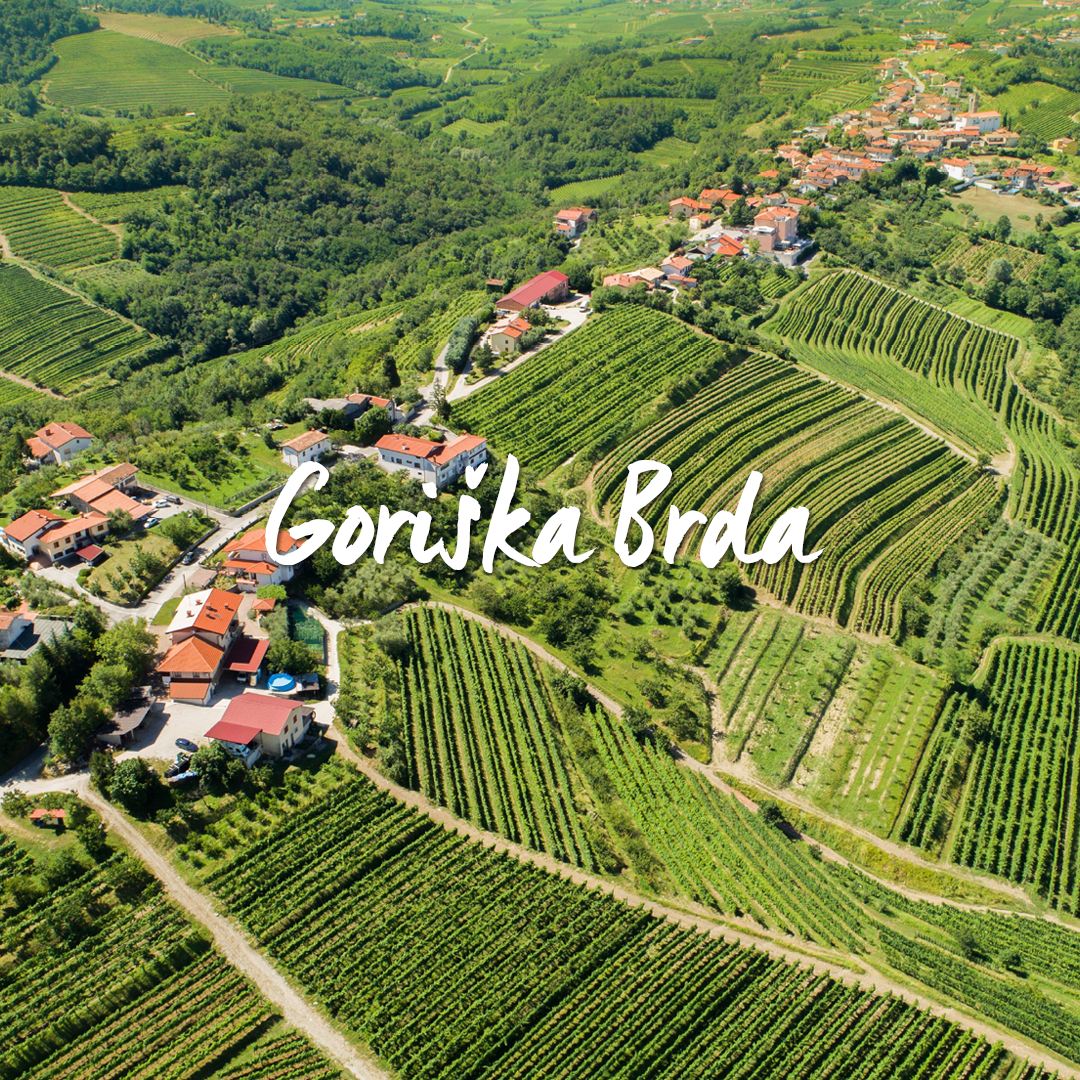 Goriška Brda